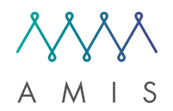  대만 AMIS, 새로운 컨센서스 ‘이스탄불 BFT’ 개발 … JP모건 채택 