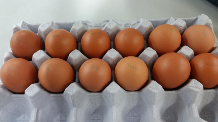  또 터질 오염된 달걀 파동, 불록체인으로 막으면 어때요?