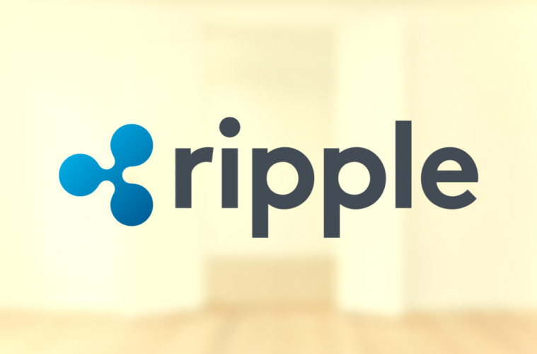  리플, 美 50개주 공립학교에 암호화폐 308억원 후원