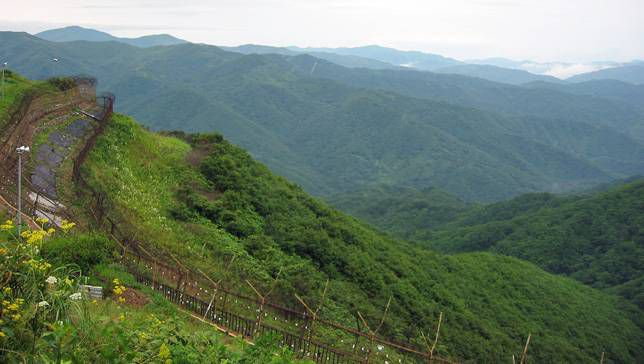  [기고] 비무장지대(DMZ)의 남북 청년들 ‘크립토 밸리’로