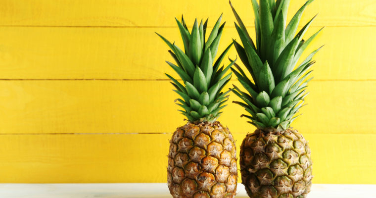 파인애플펀드 활동 종료…비트코인 5,104개 기부 완료