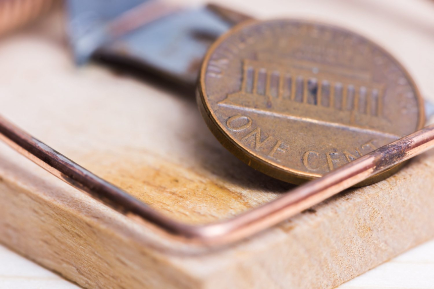 비트고(BitGo), 지캐시 자금관리 서비스 지원