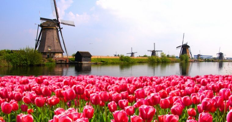  네덜란드 최대 ETF업체, 규제기관 경고에도 시장 진입