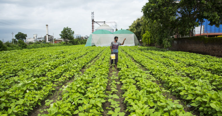 인도 정부 싱크탱크, 농촌 지원 사업에 블록체인 도입