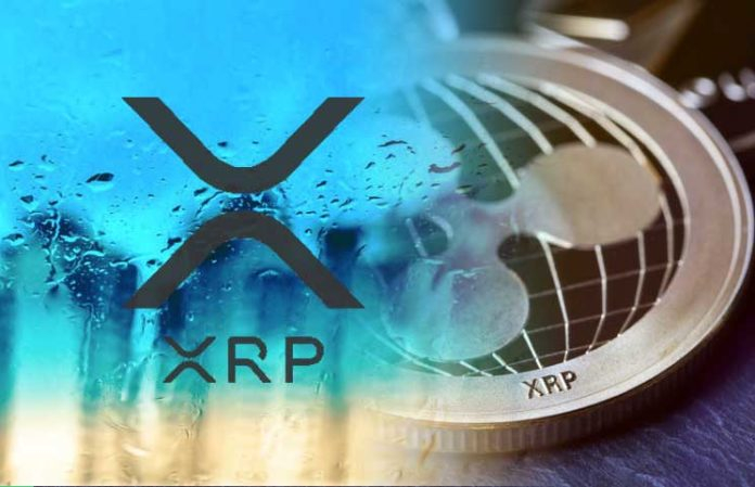  로젠 로펌, 리플(XRP) 집단소송 착수…