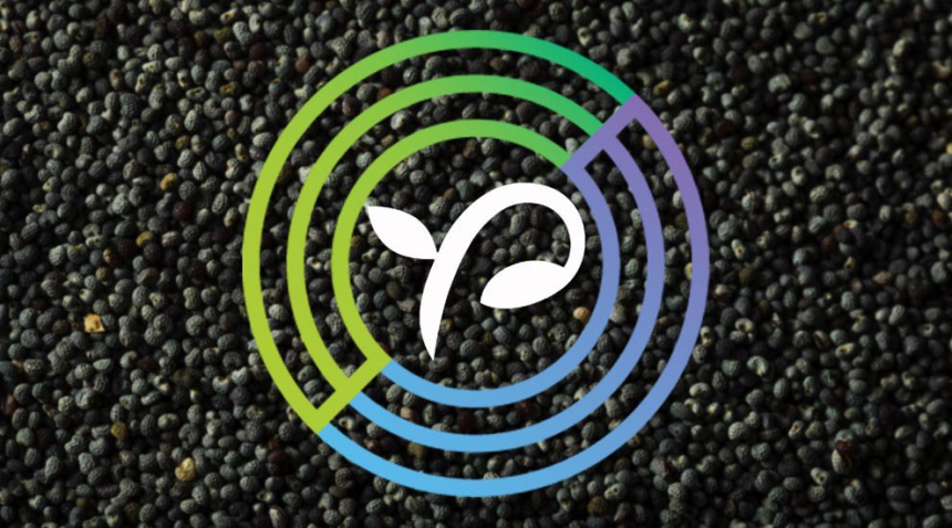  서클, 스타트업 크라우드펀딩 플랫폼 '시드인베스트' 인수 추진…안정적 ICO 기반 만든다