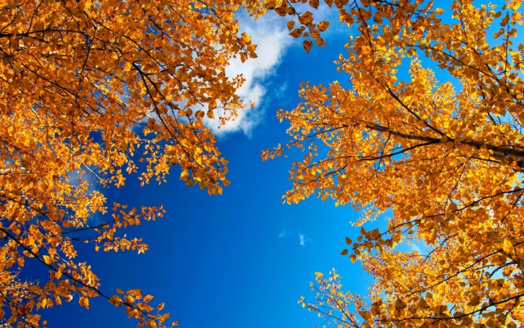  10월 5일(금) 국내외 블록체인 뉴스 오후 브리핑