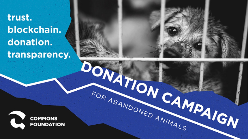  커먼즈재단 주관 ‘유기동물 후원 블록체인 기부 캠페인’ 성황리에 종료