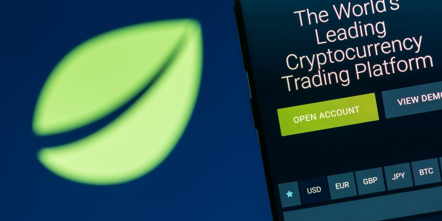  비트파이넥스, 자체 토큰 IEO 공식 문건 나와