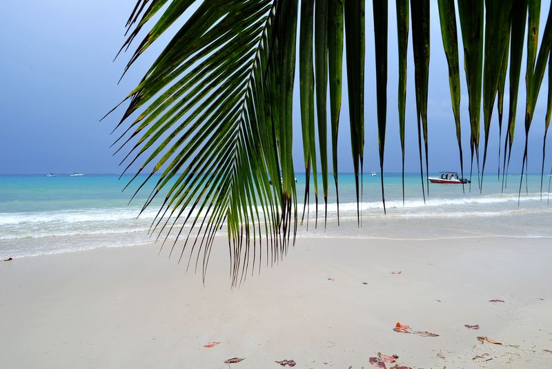  세이셸 국영 증권거래소, 세계 최초 증권토큰 상장