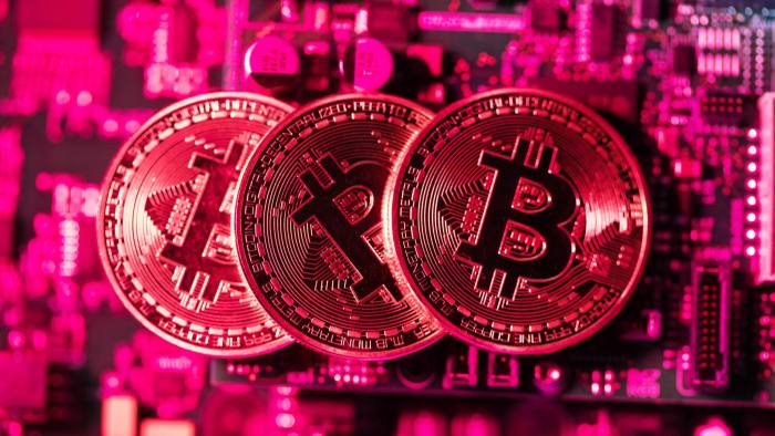  마이크 노보그라츠, 