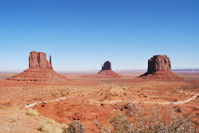  애리조나 州, 핀테크 샌드박스 기업으로 ‘마리화나’ 지원 스테이블코인 업체 선정
