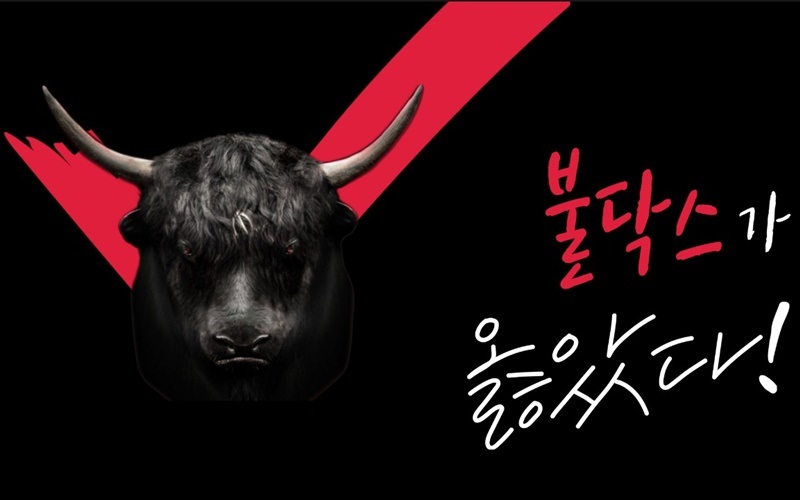  한빗코, '불닥스' 서비스 출시…비트코인 예치 하면 이자 최대 12% 지급