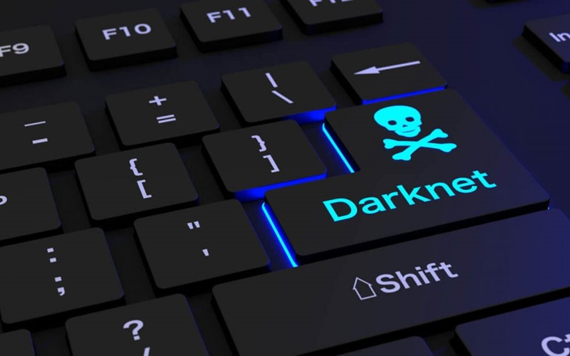  체인널리시스 보고서 