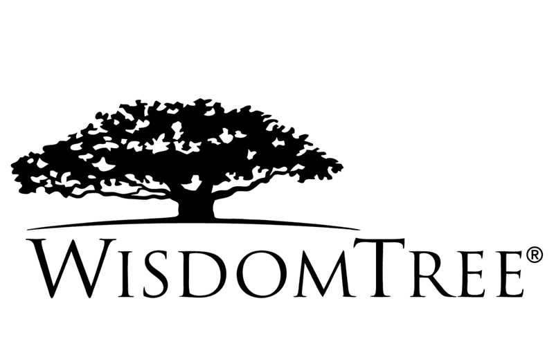  美 ETF 전문 자산운용사 '위즈덤트리', 스테이블코인 출시 검토