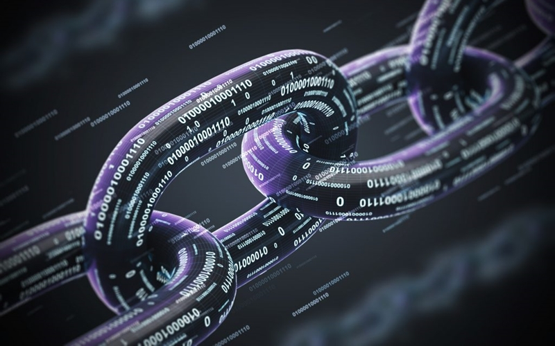  연구 보고서 “24개 네트워크, 10년 동안 거래 31억 건 처리”