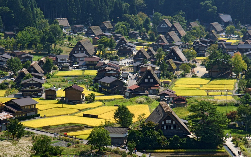  日 시라카와고 합장촌, 숙박 예약 시스템에 블록체인 도입