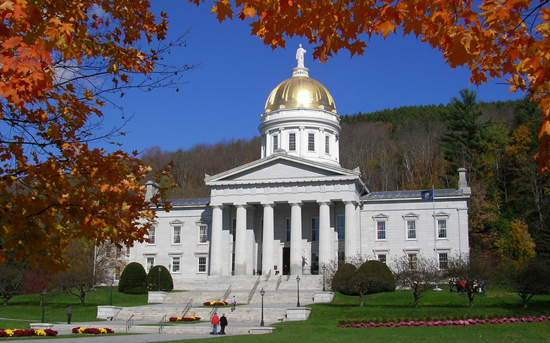  美 버몬트 주, 이더리움 블록체인으로 ‘대마’ 유통 이력 추적
