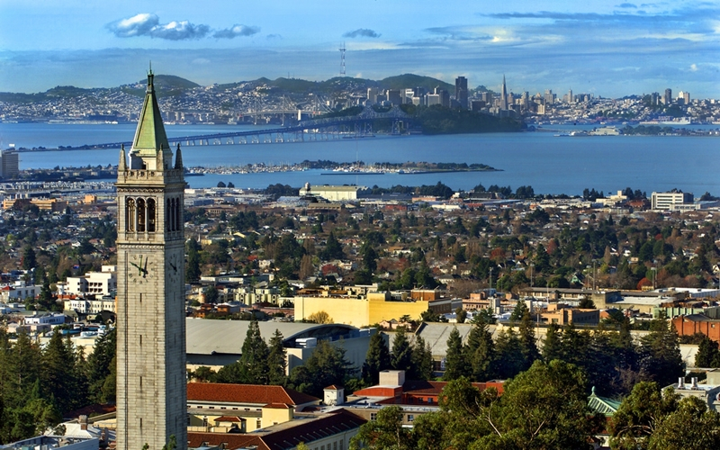  버클리 블록체인 엑셀러레이터, 2020년 상반기 지원 스타트업 17곳 선정