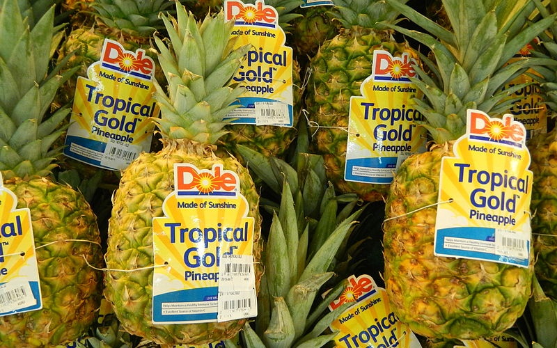  돌(DOLE), 식품공급망 블록체인 시스템 구축한다…2025년까지 전면 도입