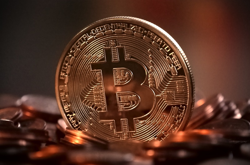  비트코인캐시, 첫 반감기 진행…비트코인SV는 반감기 앞두고 가격 급등