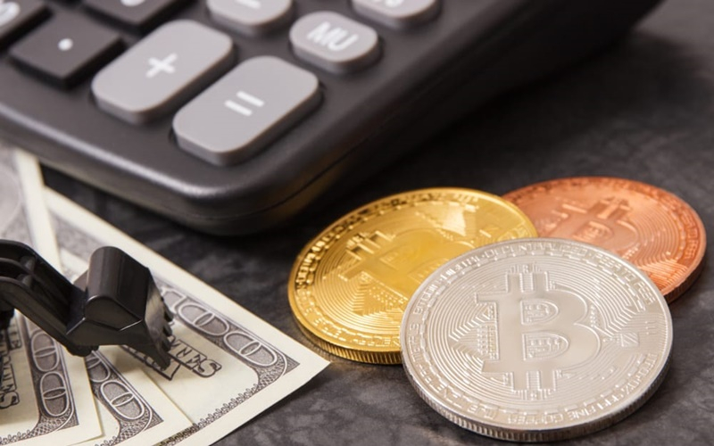  美 공인회계사 대상 설문 