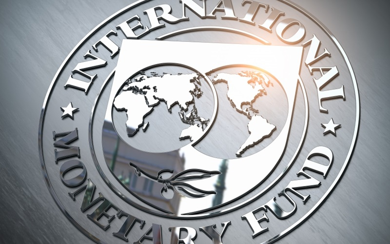  IMF 고위 관계자 