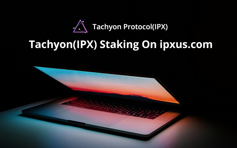  타키온, IPX 스테이킹 플랫폼 'ipxus.com' 출시…글로벌 테스트 시작