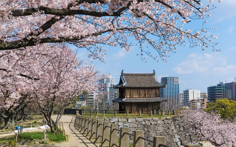  日 SBI, 블록체인 기반 지역상품권 발행한다