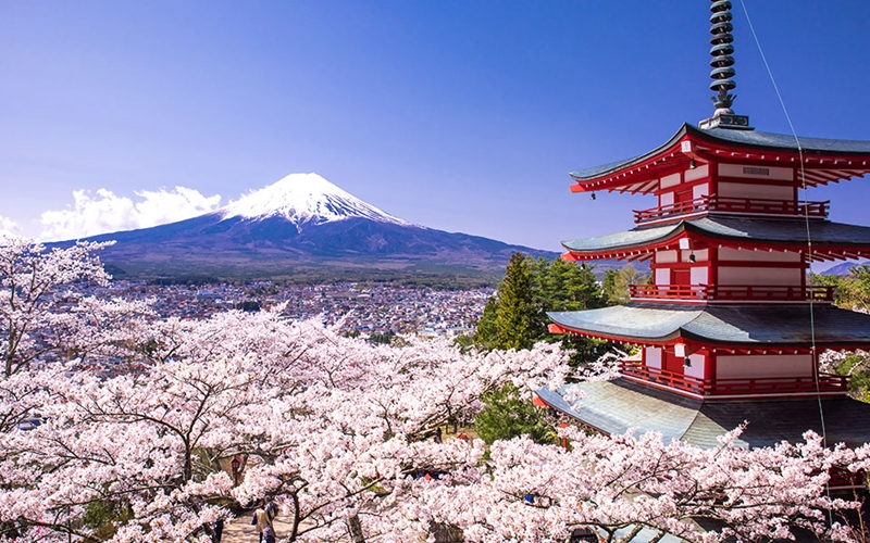  日 정부, 주요 경제 정책에 CBDC 포함 예정…블록체인 사용 여부도 검토