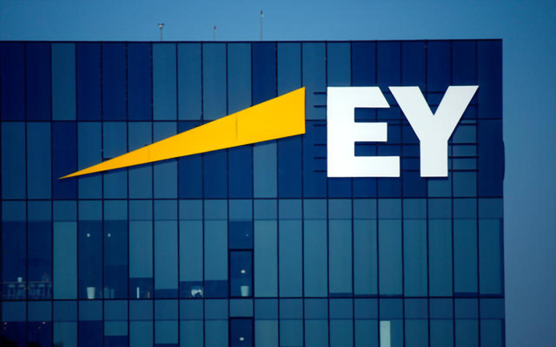  EY 블록체인 수석 