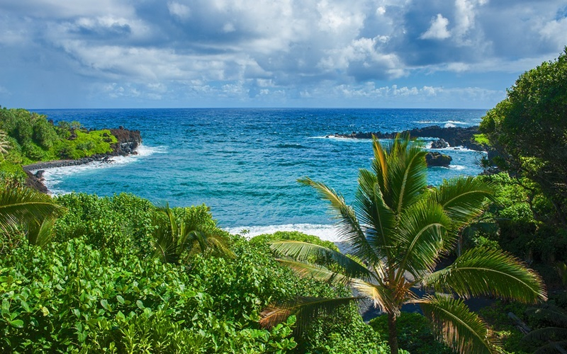  美 하와이, 암호화폐 기업에 문 활짝 연다…규제 샌드박스 시범 운영