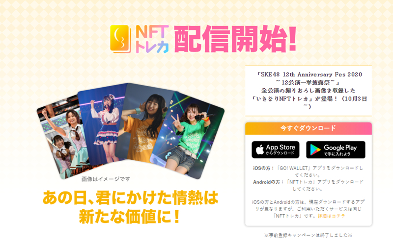  日 블록체인 기업, 유명 아이돌 'SKE48' NFT 포토카드 출시