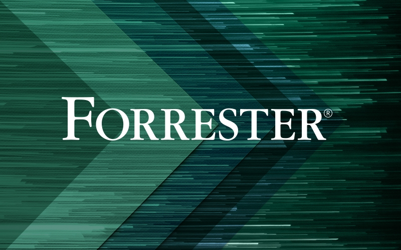  포레스터 보고서 