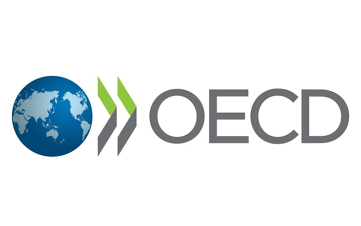  OECD 조세정책 총괄 “내년 국제 암호화폐 과세 표준 나올 것”