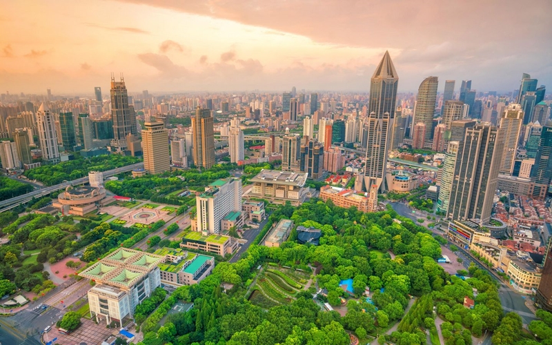  11월 12일(목) 국내외 블록체인 뉴스 브리핑