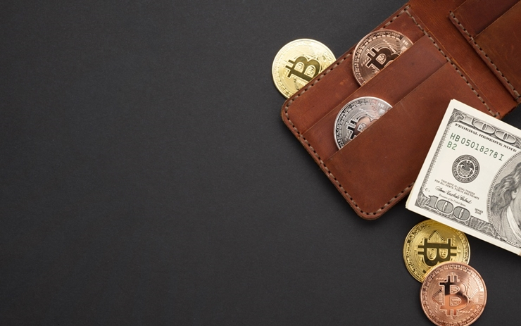 美 핀센 월렛 규정 의견수렴, '15일→90일' 연장 청원 진행 중