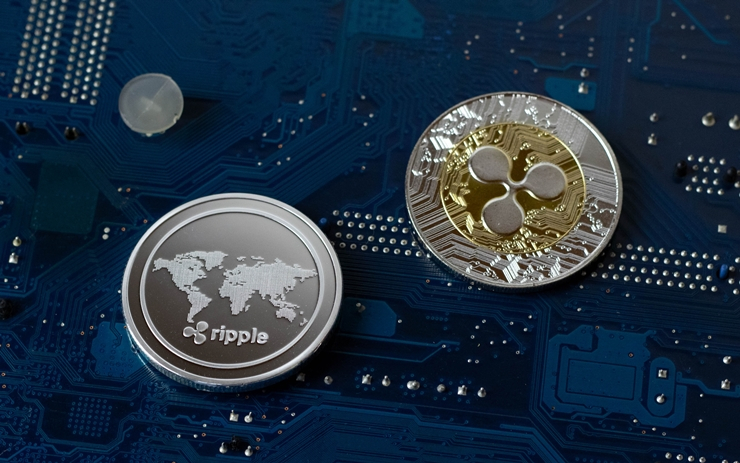  유명 로펌 변호사 