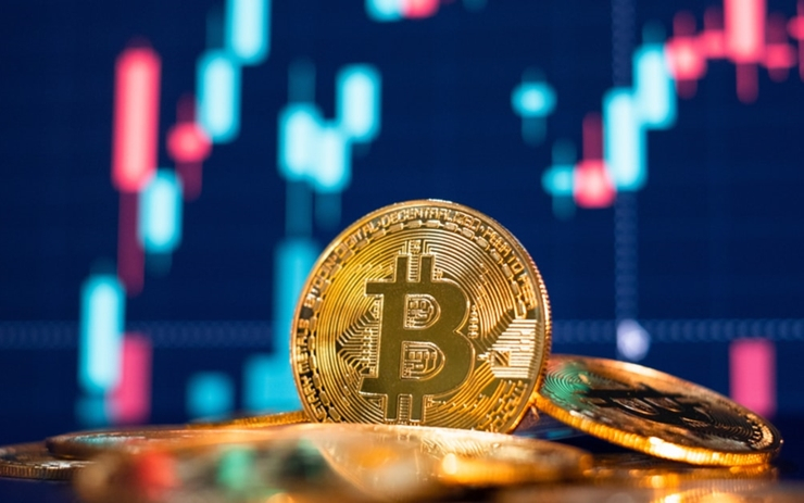  [토큰포스트 브리핑] 설문 