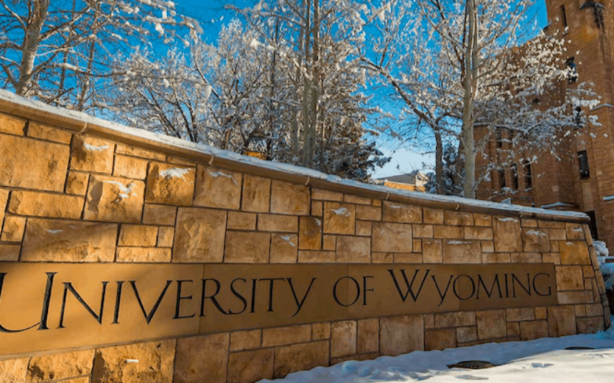  美 와이오밍 대학교, 블록체인 기술 적용된 '양모 담요' 판매한다