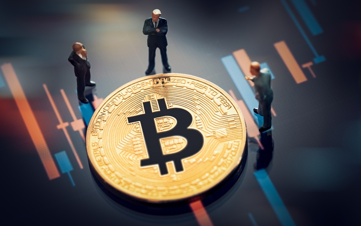  비트코인 폭락에 신규 투자자만 손해…장기 투자자 73% 