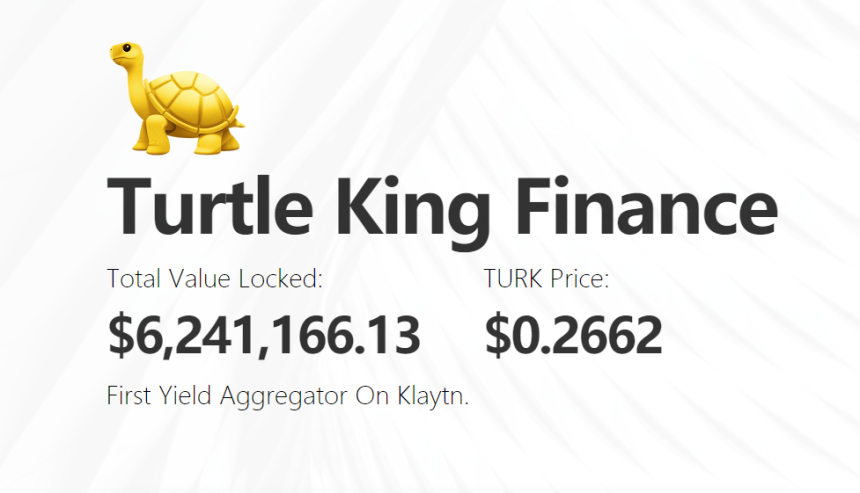  클레이스왑 컴파운드 일드파밍 풀, 터틀킹 파이낸스 출시