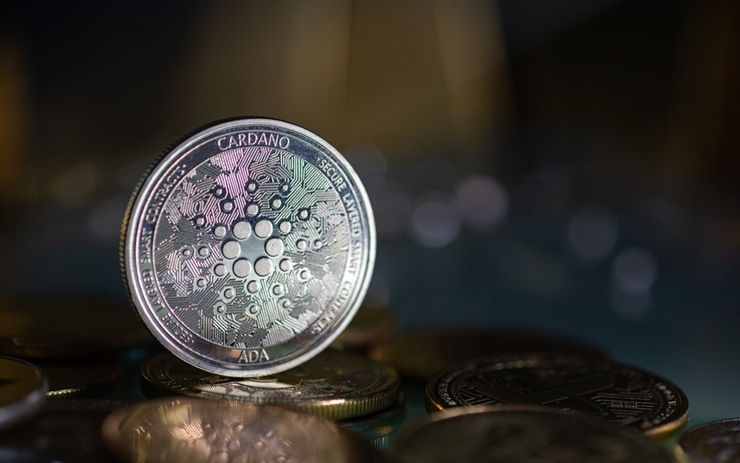  100만 달러 이상 보유 카르다노(ADA) 지갑 수, 한 달 새 173% 증가