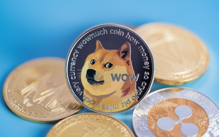 도지코인 재단, 6년 만에 재설립 선언…일론 머스크 최측근도 포함돼