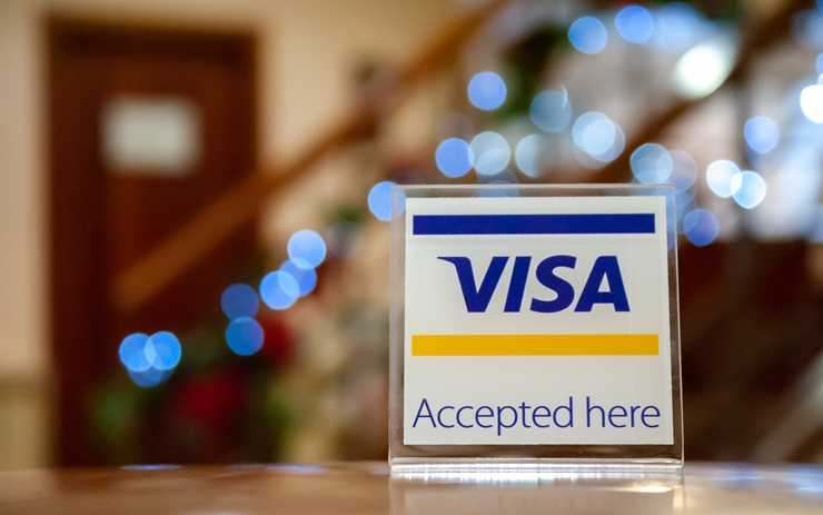  비자, 첫 NFT '크립토펑크' 구매…