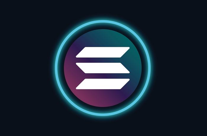  비트코인에서 유출된 기관 자금 솔라나로 유입…기관 상품 유입량 1/3 차지