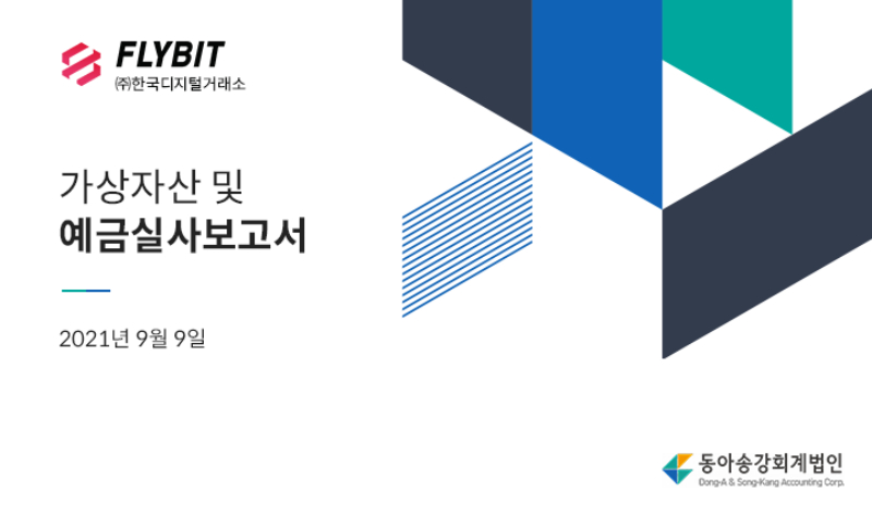  플라이빗, 회계법인 실사보고서 공개…
