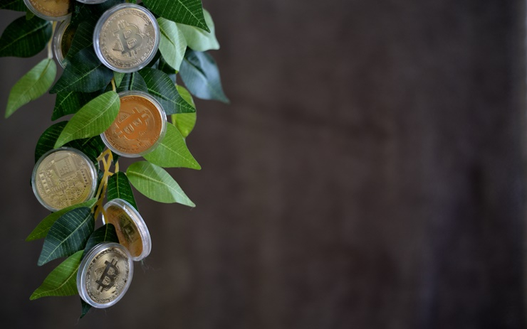  [토큰포스트 브리핑] UC버클리, 디파이 온라인 클래스 개설 外