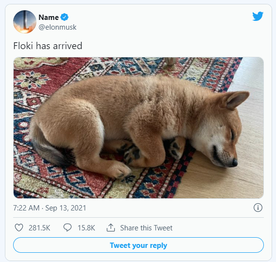  “일론 머스크가 또?” 새로운 트윗에 ‘시바 플로키’ 하루에 4000% 폭등