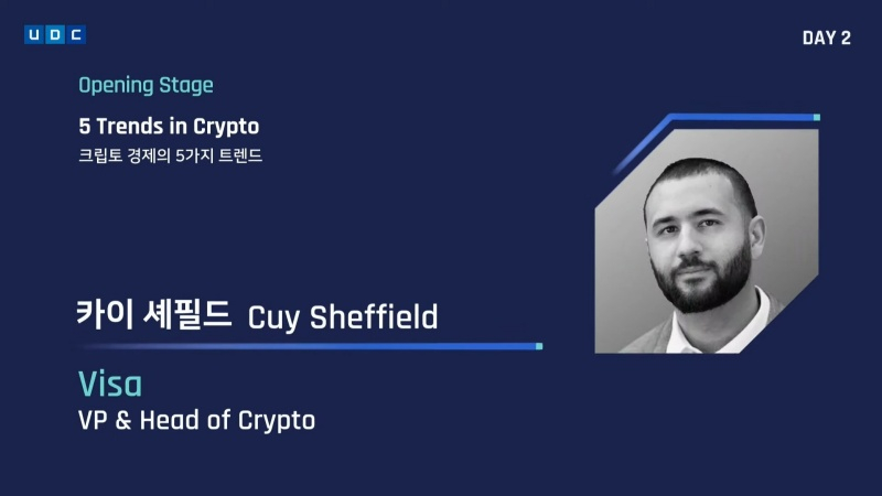 카이 셰필드 비자 부회장 